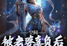 空间：被老婆辜负后，我只想摆烂小说免费资源，空间：被老婆辜负后，我只想摆烂在线阅读-侠客文学