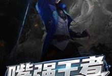 嘴强王者的重生之路小说的免费电子版在哪里可以下载或阅读?-侠客文学