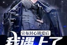 宣布封心锁爱后，我遇上了心动对象小说全文阅读需要付费吗？寻找免费资源-侠客文学