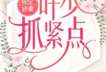 预定娇妻：叶少抓紧点这本小说怎么样？免费在线阅读试试-侠客文学