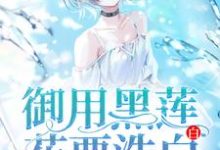 哪里能找到御用黑莲花要洗白白小说的全部章节？-侠客文学