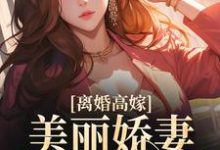 离婚高嫁:美丽娇妻哪里逃小说,离婚高嫁:美丽娇妻哪里逃最新章节-侠客文学