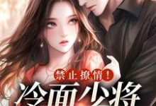 禁止撩情!冷面少将快杀敌小说,禁止撩情!冷面少将快杀敌林冉冉陆霆轩-侠客文学