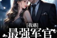 求我遇最强军官，被宠爆了！小说免费资源-侠客文学