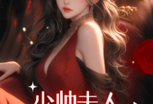 民国：少帅夫人危险又迷人最新章节，民国：少帅夫人危险又迷人免费阅读-侠客文学