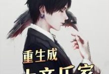 小说《重生成大音乐家》在线章节阅读-侠客文学