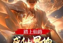 已完结小说《踏上仙路，成仙界的人族最强代表》最新章节-侠客文学