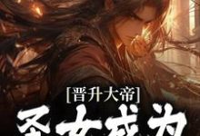 晋升大帝：圣女成为贤内助小说的无弹窗阅读体验，寻找免费阅读网站-侠客文学