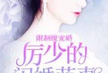 《亿万盛宠：厉少的闪婚萌妻》小说大结局免费试读 秦暖厉君逸小说-侠客文学