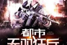 叶锋火凤凰小说在线章节免费阅读（都市无双狂兵无弹窗无删减）-侠客文学