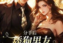 完结版《分手后，舔狗男友成了绝世神豪》免费阅读-侠客文学
