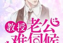染指成婚，教授老公难伺候傅暖容与，染指成婚，教授老公难伺候小说免费阅读-侠客文学