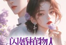 完结版《闪婚植物人首富后，她成了豪门团宠》免费阅读-侠客文学