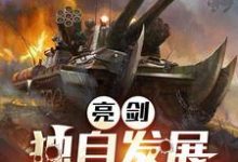 哪里可以免费找到亮剑:独自发展,开局连升十级?-侠客文学