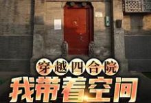 完结版《穿越四合院，我带着空间来致富》在线免费阅读-侠客文学