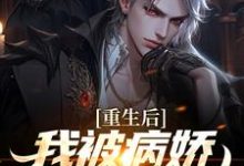 林轩苏婳小说《重生后，我被病娇女霸气壁咚》在线阅读-侠客文学