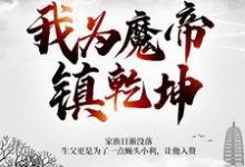 我为魔帝镇乾坤小说完结版章节免费阅读-侠客文学