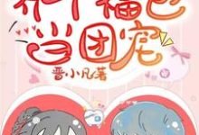 《养个福包当团宠》小说弯弯秦盛章节章节免费在线阅读-侠客文学