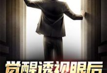 觉醒透视眼后，我不当舔狗了这本小说完结了吗？免费查看最新章节-侠客文学