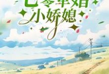 小说《七零军婚小娇媳》章节免费阅读-侠客文学