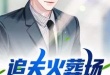 《追夫火葬场!弟弟你别逃》全集免费在线阅读(江洋许以薇)-侠客文学