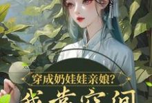 穿成奶娃娃亲娘？我靠空间养活他们小说，穿成奶娃娃亲娘？我靠空间养活他们免费阅读-侠客文学