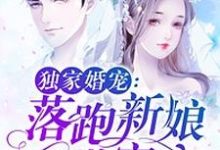 小说《独家婚宠：落跑新娘甜蜜蜜》在线章节阅读-侠客文学