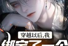 穿越以后，我绑定了一个弃子系统小说，穿越以后，我绑定了一个弃子系统章节在线阅读-侠客文学