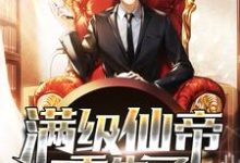 求都市：满级仙帝重生了小说免费资源-侠客文学