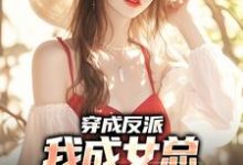 免费看穿成反派,我成女总贴身助手小说的网站有哪些?-侠客文学