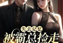 失去记忆，被霸总捡走当女主这本小说完结了吗？免费查看最新章节-侠客文学