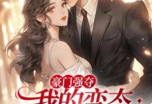 苏含烟小说叫什么（豪门强夺：我的变态偏执狂男人们免费阅读）-侠客文学