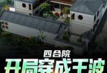 四合院:开局穿成王波,拒绝白嫖王波小说免费阅读-侠客文学