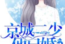 宠妻入骨：京城二少他已婚最新章节，宠妻入骨：京城二少他已婚免费阅读-侠客文学