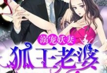 溺宠妖妻：狐王老婆真绝色免费阅读，溺宠妖妻：狐王老婆真绝色章节目录-侠客文学