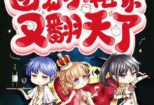 垚一小说大佬们的团宠小祖宗又翻天了在线阅读-侠客文学