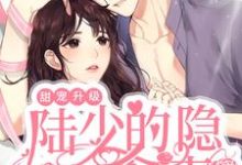 求推荐可以免费阅读甜宠升级：陆少的隐婚娇妻小说的网站-侠客文学