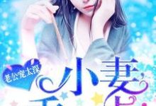 小说《老公宠太深：小妻，乖一点！》章节免费阅读-侠客文学