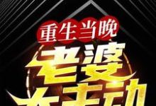 重生当晚,老婆太主动免费阅读,重生当晚,老婆太主动叶尽欢唐仲薇-侠客文学