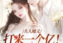 夫人她又打来一个亿!这婚我结!最新章节,夫人她又打来一个亿!这婚我结!章节在线阅读-侠客文学