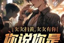 次次扫黄次次有你，你说你是卧底？ 方正赵梨花在线章节免费阅读-侠客文学