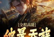 全程高能：他是天族世子这本小说怎么样？免费在线阅读试试-侠客文学