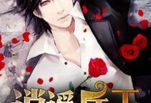 叶凡林小冉孟雪儿小说叫什么(逍遥兵王在花都免费阅读)-侠客文学