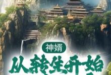 小说《神婿:从转生开始称霸大唐》章节免费阅读-侠客文学