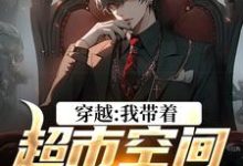 穿越:我带着超市空间闯四合院这本小说怎么样?免费在线阅读试试-侠客文学