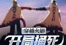 小说《穿越火影：开局捅死宇智波佐助！》章节免费阅读-侠客文学