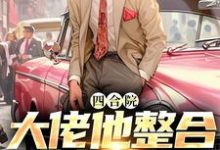 已完结小说《四合院大佬他整合全村资源》在线章节阅读-侠客文学