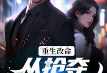 重生改命：从抢夺大嫂开始林白顾晴，重生改命：从抢夺大嫂开始在线无弹窗阅读-侠客文学