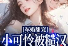 江盈盈贺晏小说《军婚甜宠:小可怜被糙汉老公宠爆了》在线阅读-侠客文学