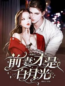 离婚后，前妻才是白月光小说最新更新在哪里？免费在线看